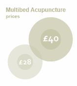 Multi-bed Acupuncture Torbay